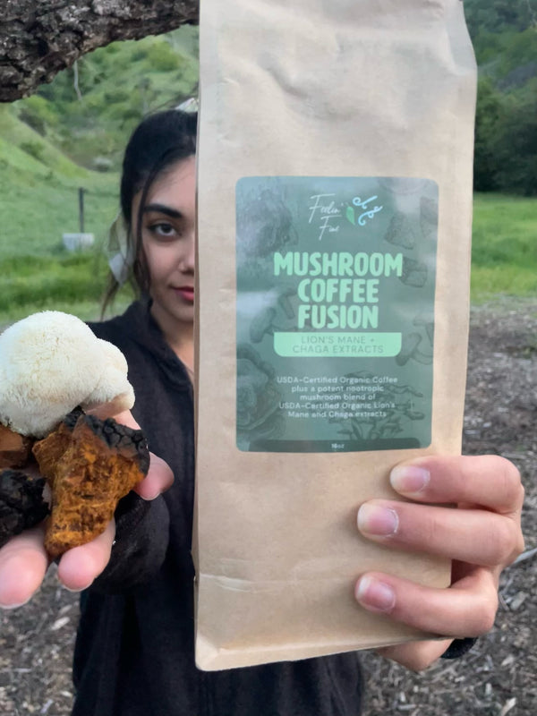 Mushroom Coffee Fusion - Lion’s Mane & Chaga 16oz