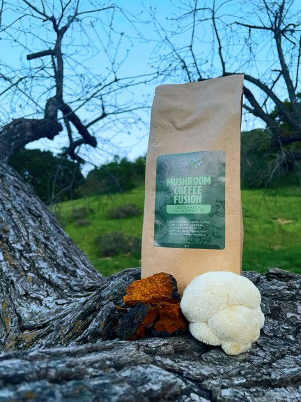 Mushroom Coffee Fusion - Lion’s Mane & Chaga 16oz