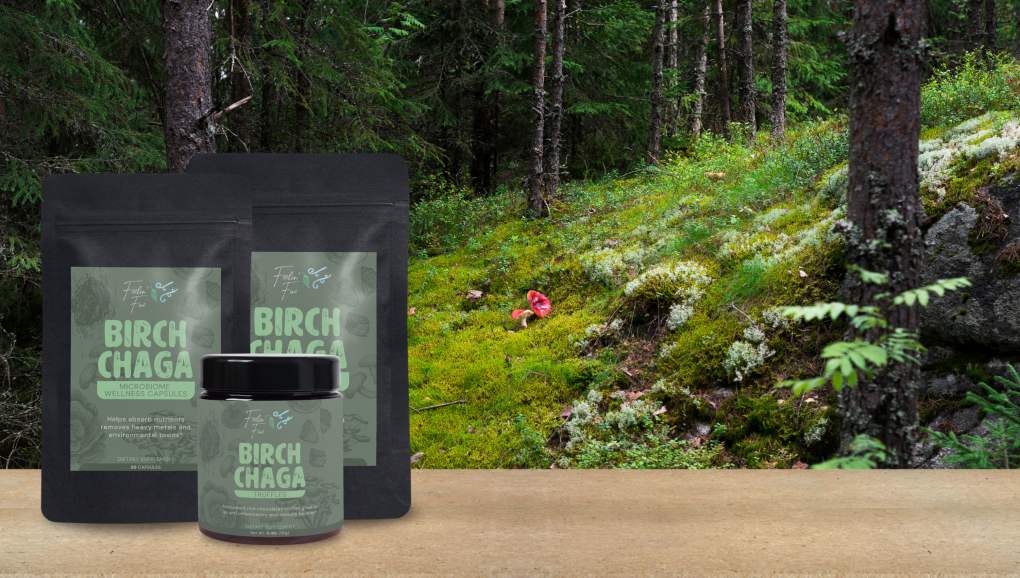 Birch Chaga Banner