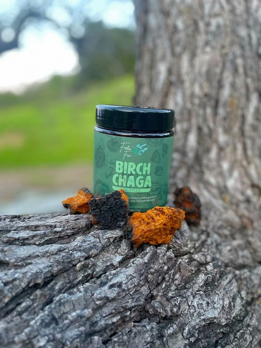 Birch Chaga Truffles